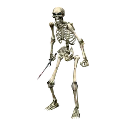 Skeleton Raider